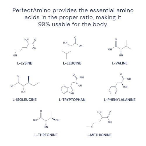 PerfectAmino Powder Mixed Berry 120 Servings 8 Essential Amino Acids Supplement Q56951