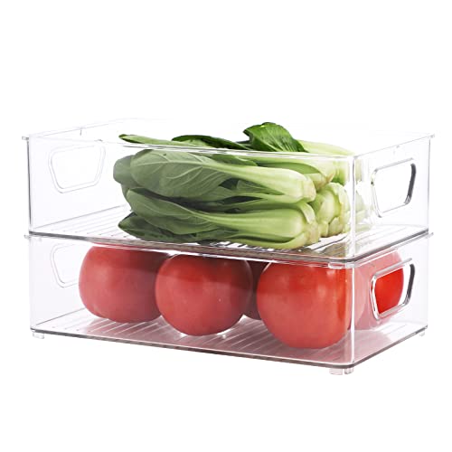 2 Pack Clear Plastic Stackable Storage Bin C98172