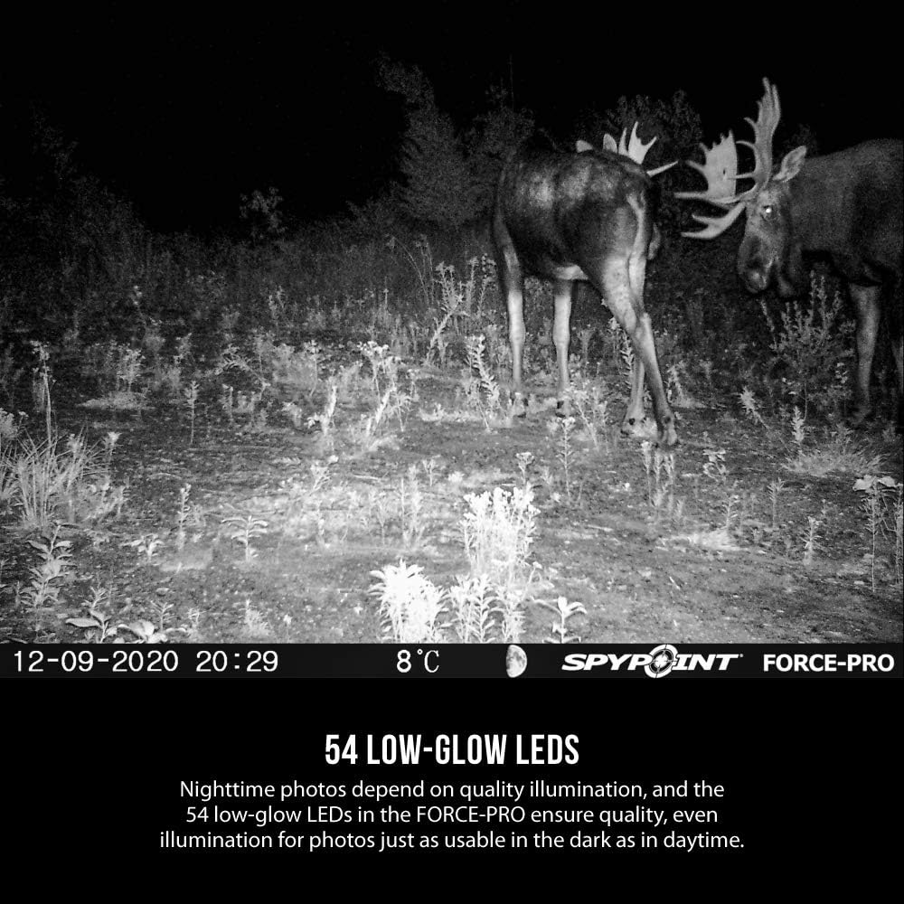 Trail Camera (30MP) with 16 GB SD Card, Card Reader, and Steel Reinforced Strap U6606