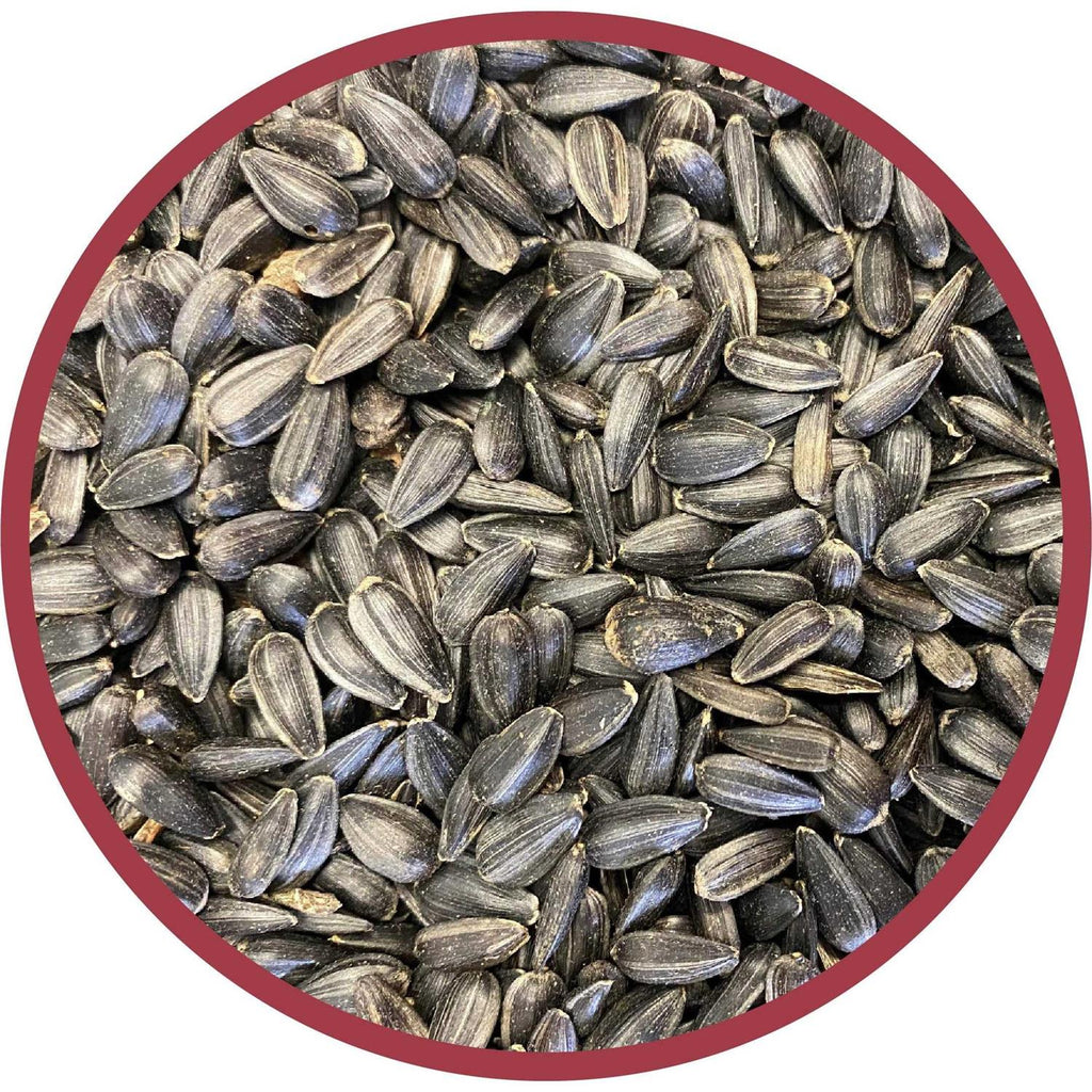 Black Oil Sunflower Seed Wild Bird Feed E8802