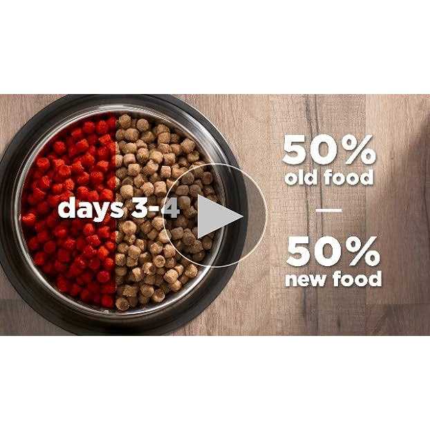 Adult Cat Dry Food Salmon D267754