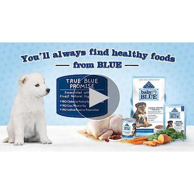 Natural Small Breed Puppy Dry Dog Food, Chicken and Oatmeal Rice Recipe 4-lb H3570