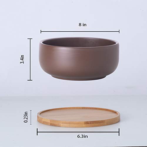 8 Inch Terracotta Clay Planter Pot with Bamboo Tray F51498