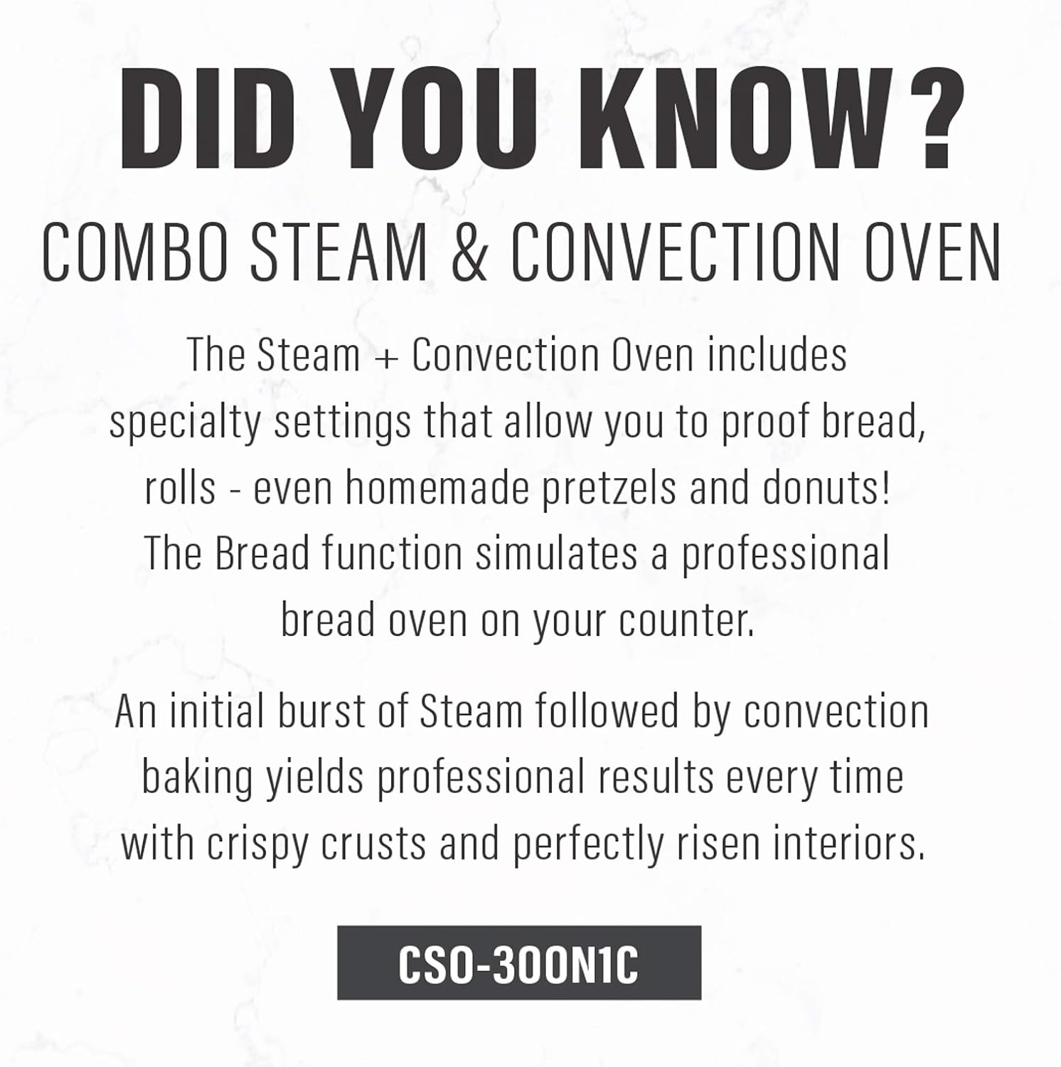 Silver Convection Oven Z23637
