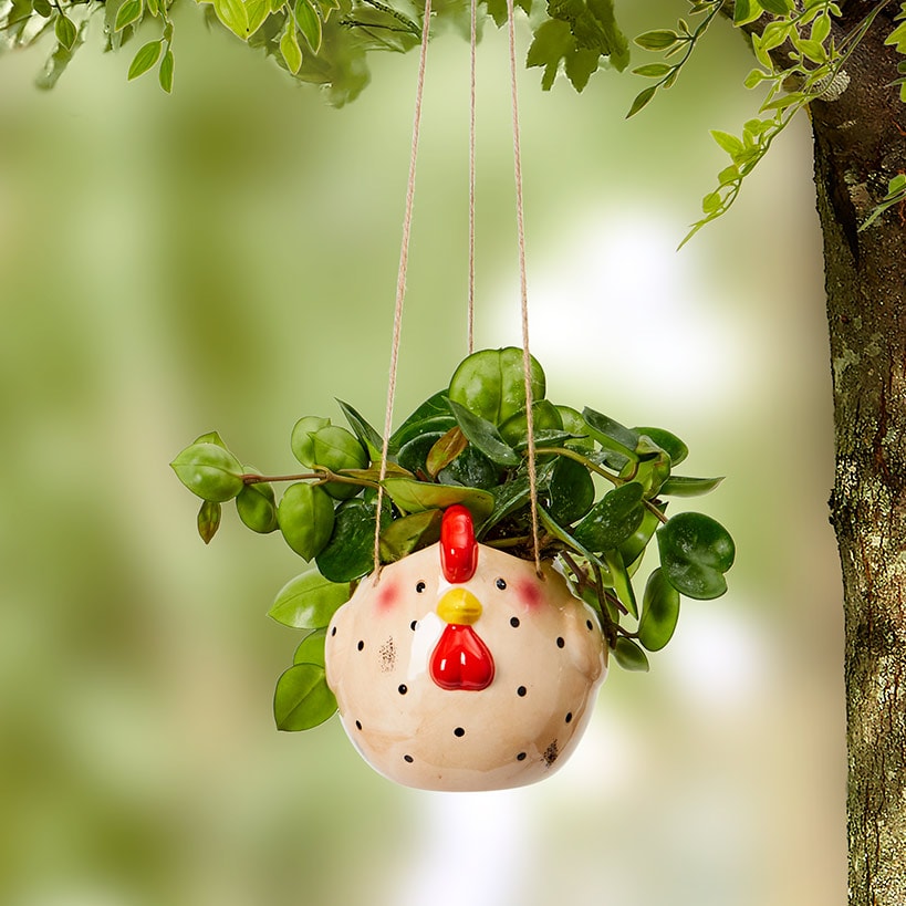 Farm Animal Hanging Planter