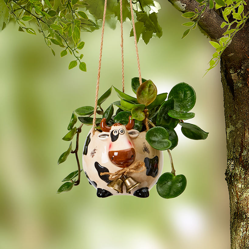 Farm Animal Hanging Planter