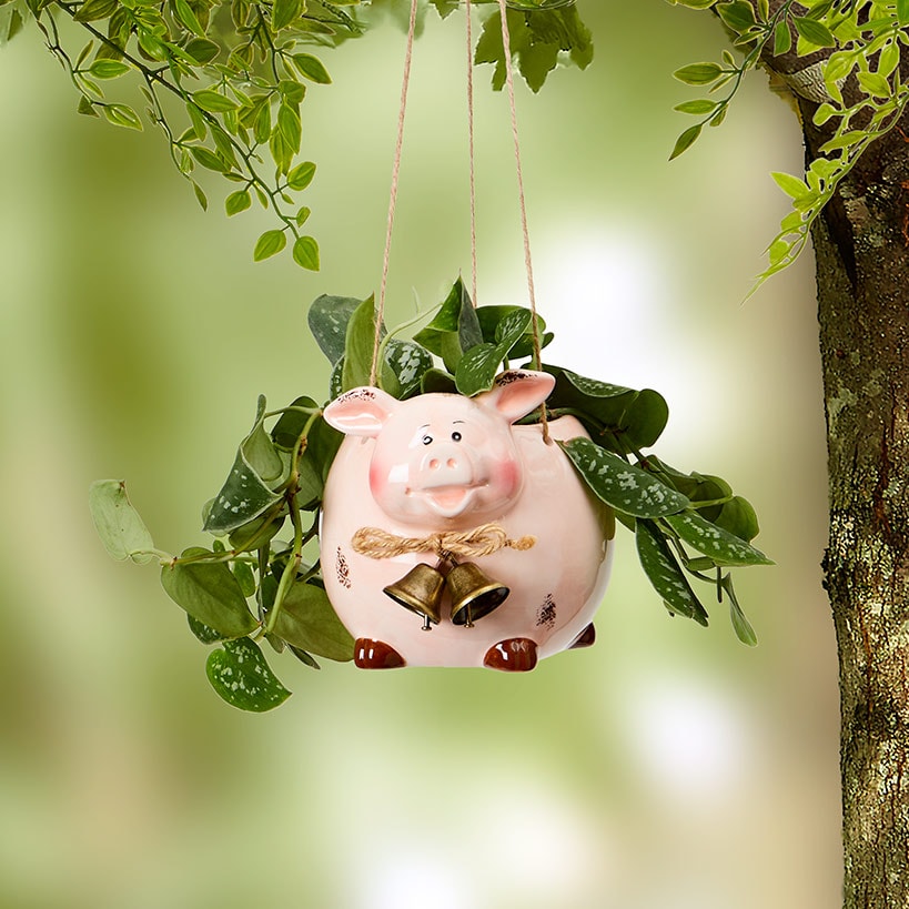 Farm Animal Hanging Planter