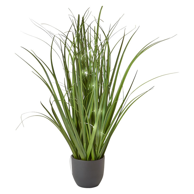 Lighted Indoor Potted Plant N250