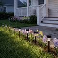 Mini Solar Lights Outdoor Garden Lights 10 Pack