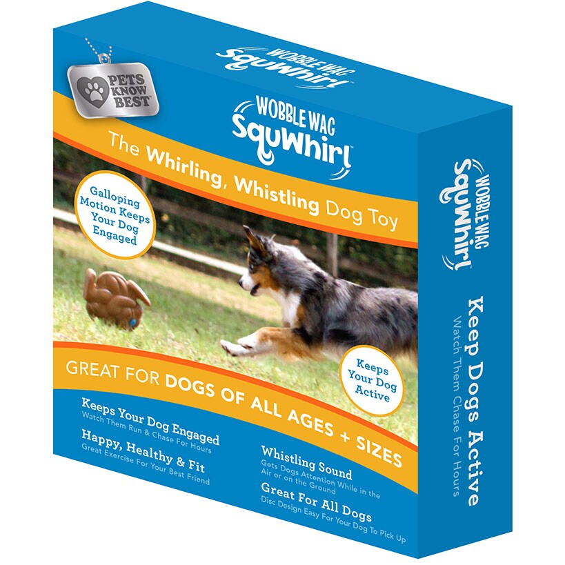 Whistling Disc Dog Toy R3812