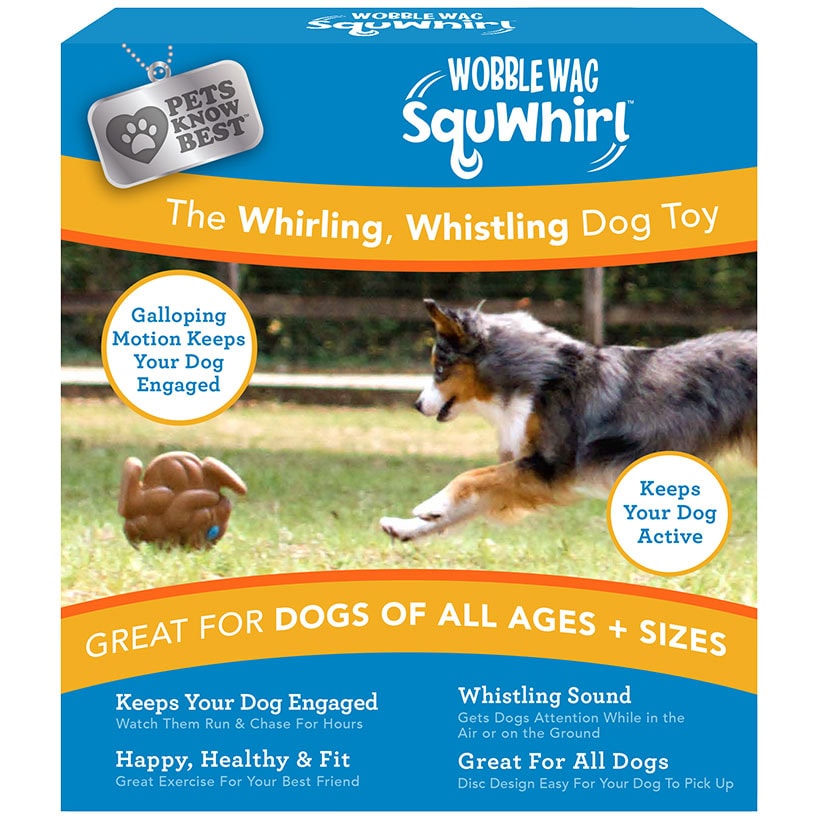 Whistling Disc Dog Toy R3812