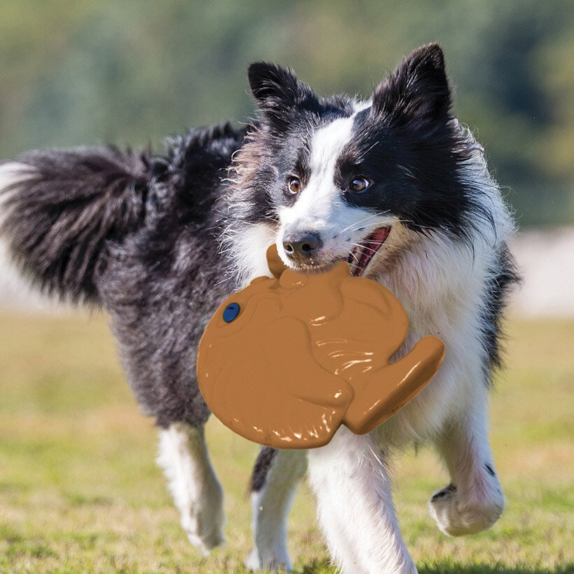 Whistling Disc Dog Toy R3812