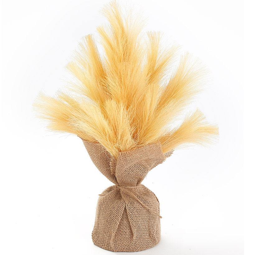 Natural Hays and Grasses Home Accents N138087
