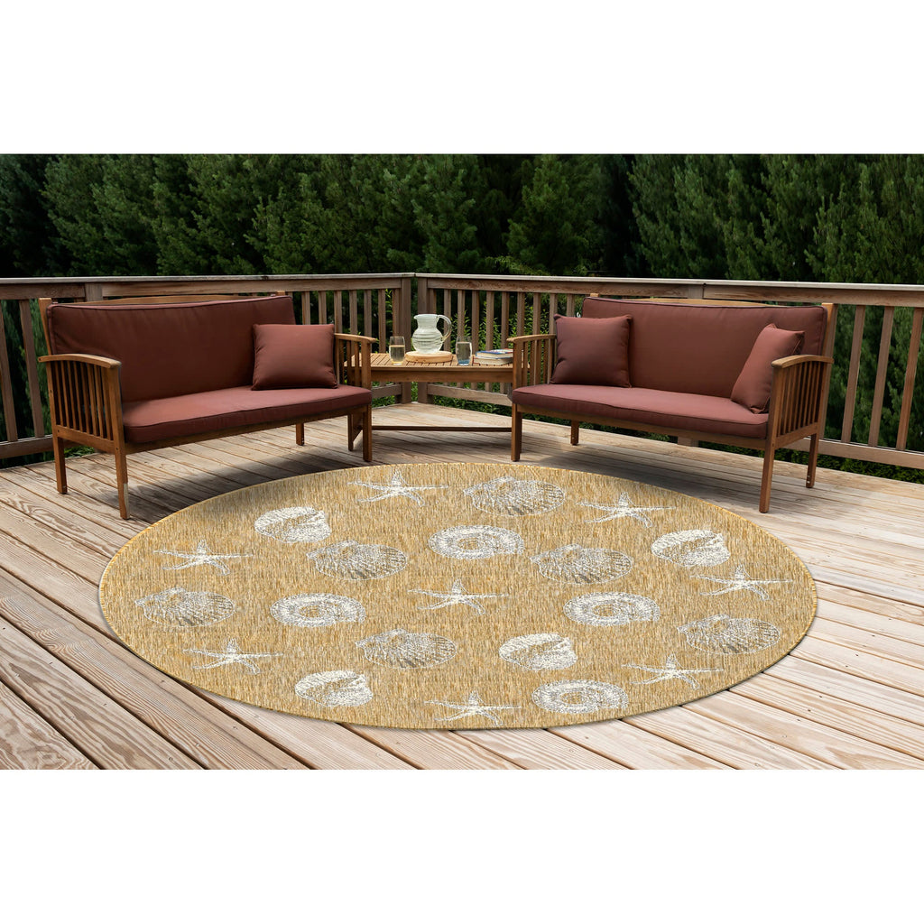 Carmel Shells Indoor Outdoor Area Rug