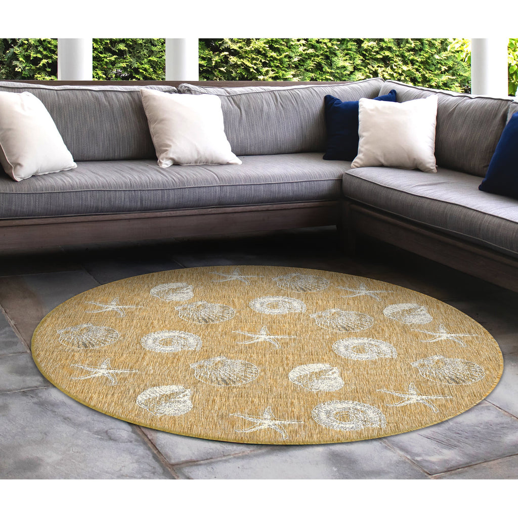 Carmel Shells Indoor Outdoor Area Rug