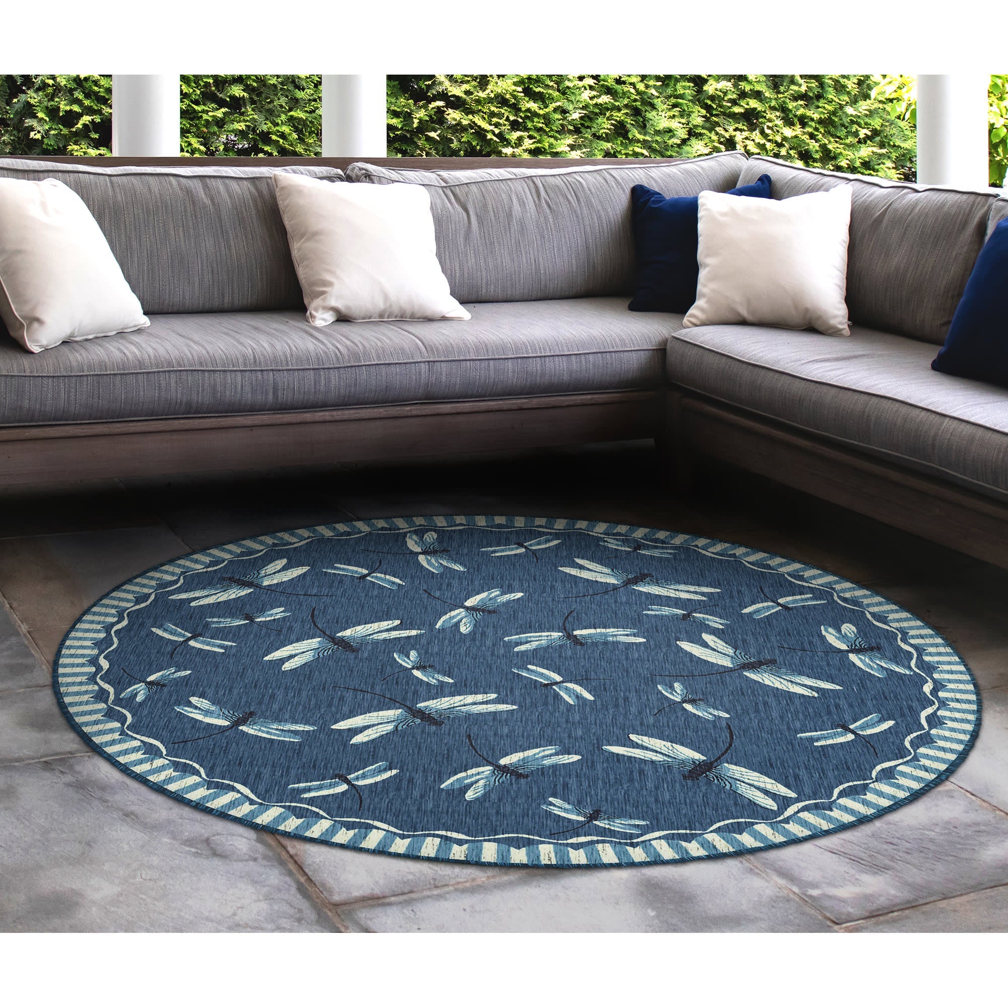 Carmel Dragonfly Indoor Outdoor Area Rug