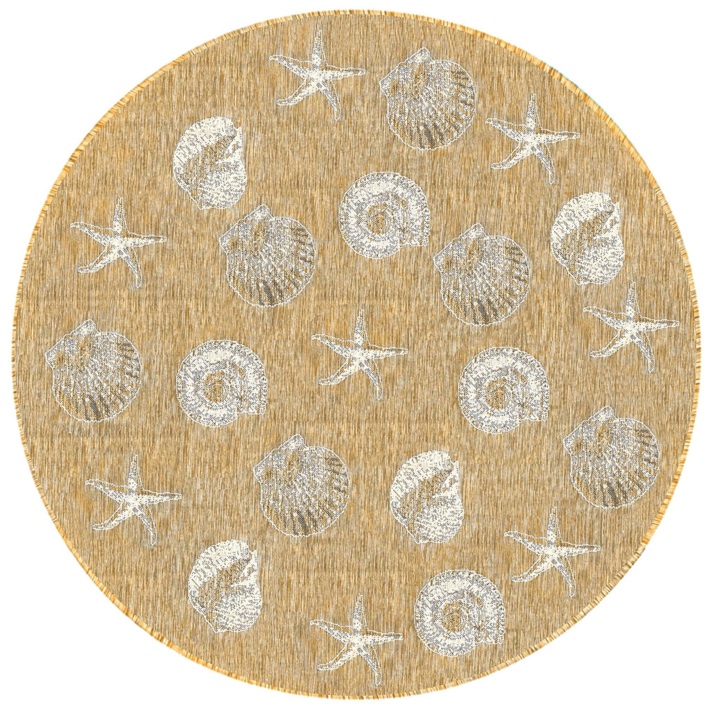 Carmel Shells Indoor Outdoor Area Rug